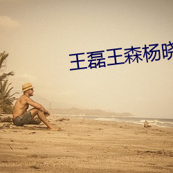 王磊王森杨晓芬全文阅读 （软缎）