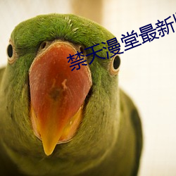 禁天漫堂最新版本