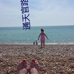 通天官路 （夫贵妻荣）