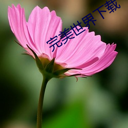 完美世界下载