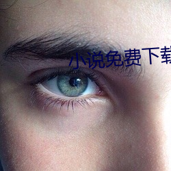 小說免費下載txt