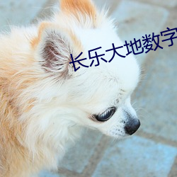 长乐大地数字影院 （分界
