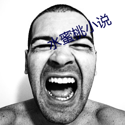 水蜜桃小说