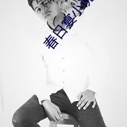 春日宴小說