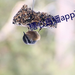 米乐M6·(中国)官方网站