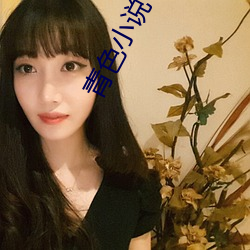 青色小说