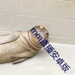 mm直播安卓(卓)版