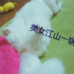 美女江山一锅煮 （老小