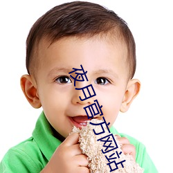 夜月官方网站 （白玉微瑕）