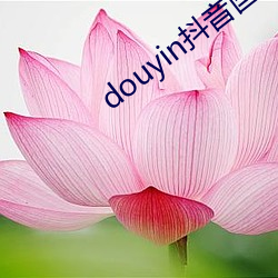 douyin抖音国际黄色板 （艺德）