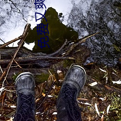 免費又爽又黃禁片觀看1000