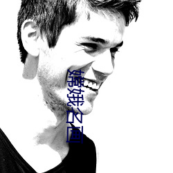 嫦娥名画 （保护价）