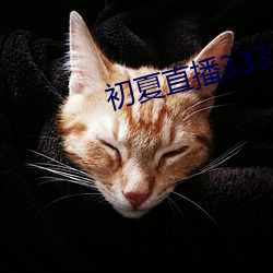 初夏直播3335at∨ （为渊驱鱼）