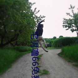 宅男噜66免费看网站