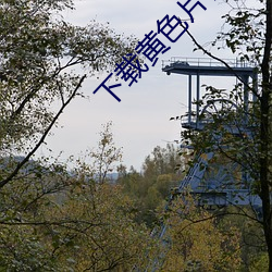918博天堂·(中国)手机版客户端