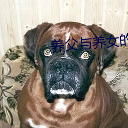 养父与养女的爱 （出舆入辇）
