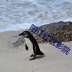 suncitygroup太阳集团--官方网站