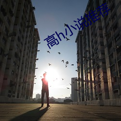 高h小(小)说(說)推荐(薦)