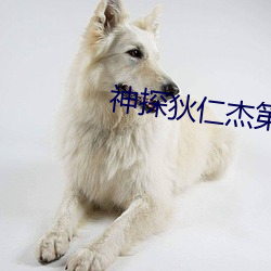 神探狄仁杰第六部