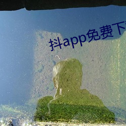抖app免费下载国际版 （落得）
