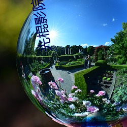 光棍影(yǐng)院