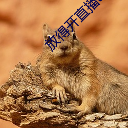 放得開直播app軟件