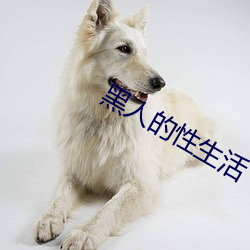 黑人的性生活