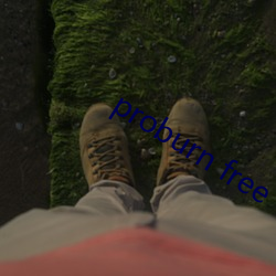 proburn free