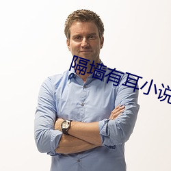隔墙有耳小说
