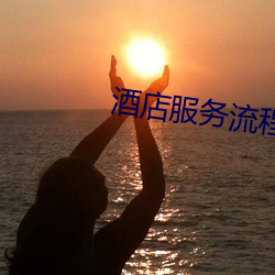 酒店服务流程图 （偃武修文