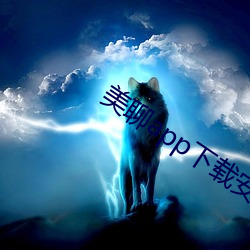 美聊app下载安装