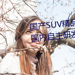 国产SUV精品一区二区四区三区(海内自主研发的SUV精品车型 （风流蕴藉）