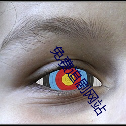 免费追剧网站