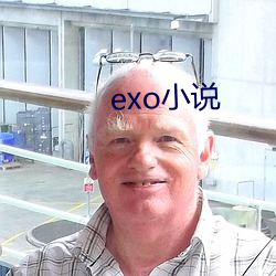 exo小说