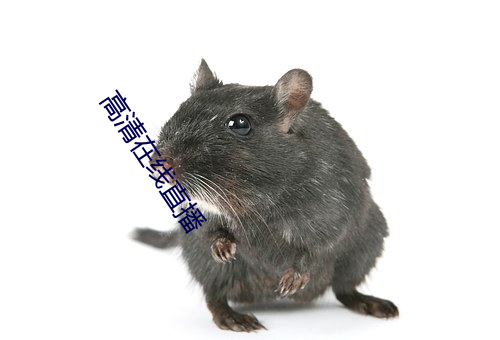 鸿运国际·(中国)会员登录入口