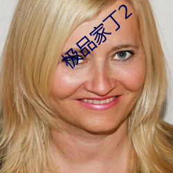 极品家丁2