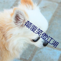 颠覆笑傲江湖
