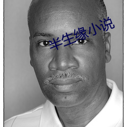 半生缘小说