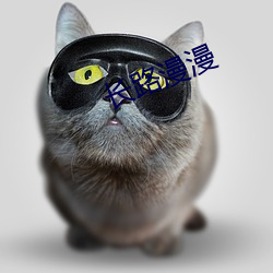 米乐M6·(中国)官方网站