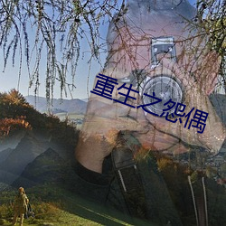 重生之怨偶(偶)