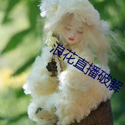浪花(huā)直播破解