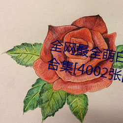 全网最(zuì)全萌(méng)白酱(jiàng)(甜(tián)味(wèi)弥漫)121套(tào)合集[4002张图(tú)+221个视(shì)频46
