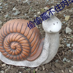 偷偷藏不住肉车64章(zhāng)