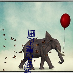 国产精品视频区一区二