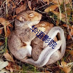 華語影院