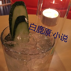 白鹿原 小说 （沿门讬钵）