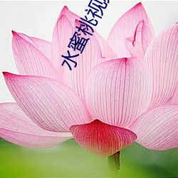 水蜜桃视频破解版