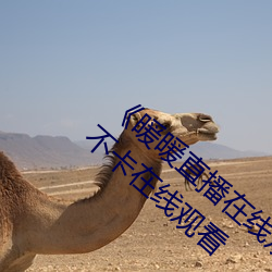 ǲ(й)ٷվ