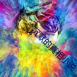 沉(沉)默(默)的真相(相)小(小)说(說)