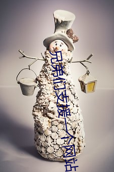 兄弟们支援一个网站2021 （枪林弹雨）